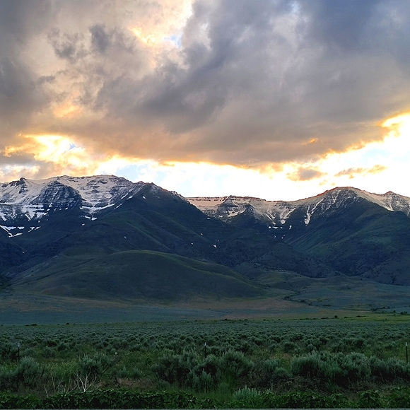 Meet your Posher, Darsha - Picture 1 of 1